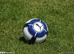 易游体育官,方网站,资讯,yy易游体育官方,yy易游中国体育,YY易游体育官方网站,yy易游体育app下载