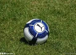 从零开始掌,握代码审计,深入,yy易游体育官方,yy易游中国体育,YY易游体育官方网站,yy易游体育app下载