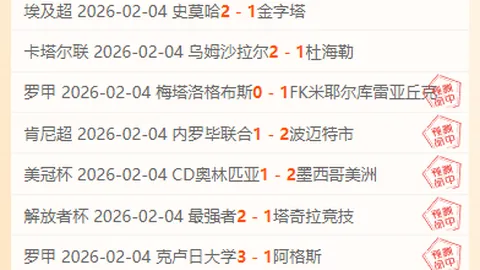 【里昂杯赛对决：惊天逆袭还是默契收场？】